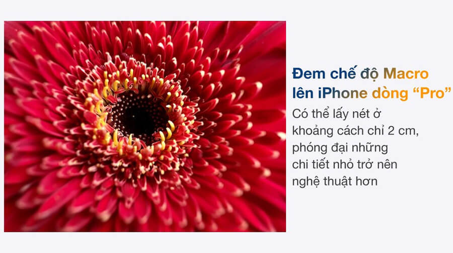 iPhone 13 Pro 256GB quốc tế - Hình 8